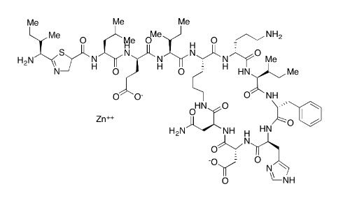 Picture of Bacitracin Zinc (Potency >75%)
