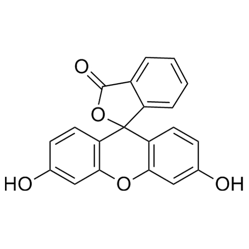 Picture of Fluorescein
