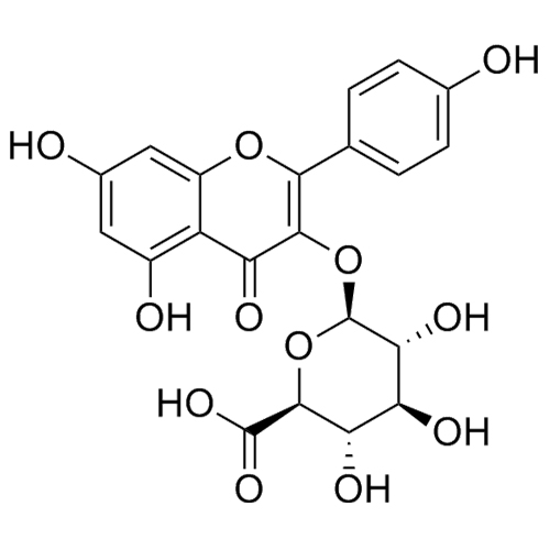 Picture of Kaempferol-3-Glucuronide