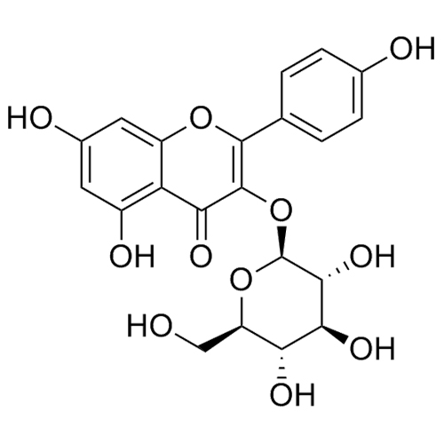 Picture of Kaempferol-3-O-Glucoside (Astragaline)