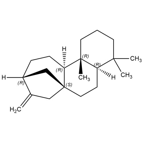 Picture of Ent-Kaurene
