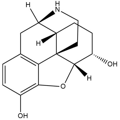 Picture of Dihydro Normorphine