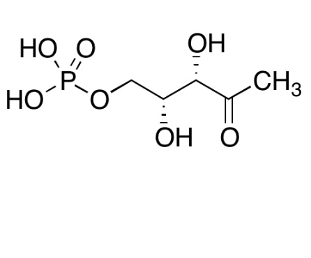 Picture of 1-Deoxy-D-xylulose 5-Phosphate