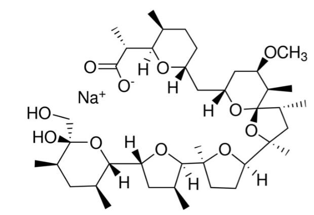Picture of Nigericin Sodium Salt