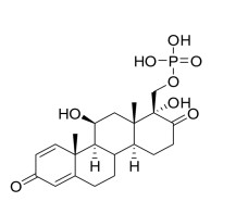 Picture of D-Homo B Derivative of Prednisolone