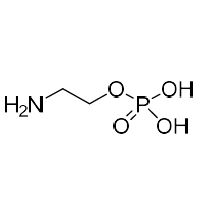 Picture of Phosphorylethanolamine