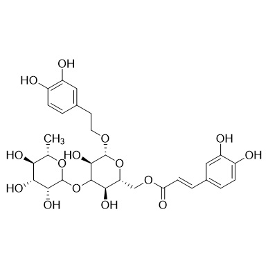 Picture of Isoacteoside (Isoverbascoside)
